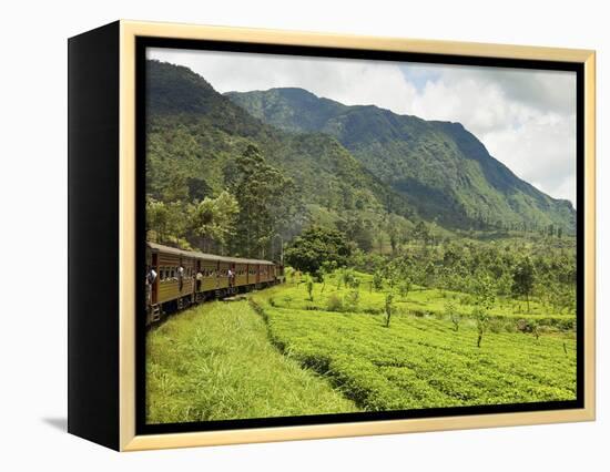 The Scenic Train Ride Through the Central Highlands, with its Mountains and Tea Plantations, Near N-Rob Francis-Framed Premier Image Canvas