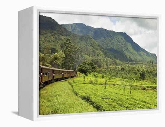 The Scenic Train Ride Through the Central Highlands, with its Mountains and Tea Plantations, Near N-Rob Francis-Framed Premier Image Canvas