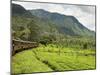 The Scenic Train Ride Through the Central Highlands, with its Mountains and Tea Plantations, Near N-Rob Francis-Mounted Photographic Print