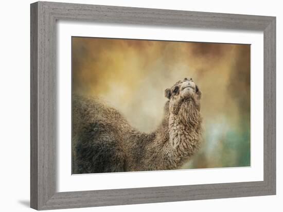 The Scent of Fall-Jai Johnson-Framed Giclee Print