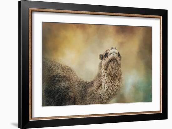 The Scent of Fall-Jai Johnson-Framed Giclee Print