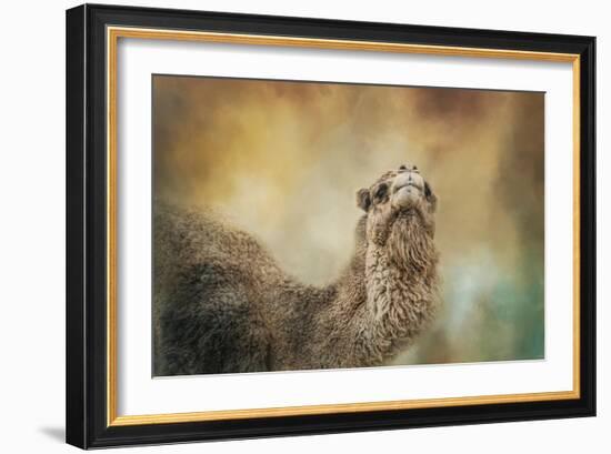 The Scent of Fall-Jai Johnson-Framed Giclee Print