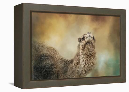 The Scent of Fall-Jai Johnson-Framed Premier Image Canvas