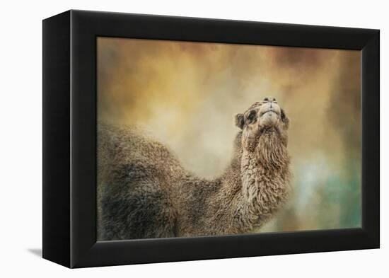 The Scent of Fall-Jai Johnson-Framed Premier Image Canvas