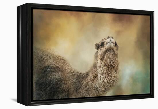 The Scent of Fall-Jai Johnson-Framed Premier Image Canvas