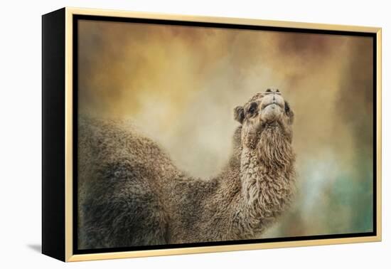 The Scent of Fall-Jai Johnson-Framed Premier Image Canvas