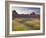 The Scent of Summer-Doug Chinnery-Framed Photographic Print