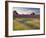 The Scent of Summer-Doug Chinnery-Framed Photographic Print