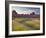 The Scent of Summer-Doug Chinnery-Framed Photographic Print