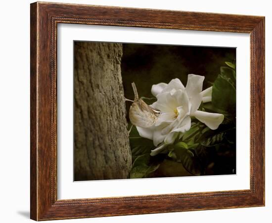 The Scent of the Gardenia-Jai Johnson-Framed Giclee Print