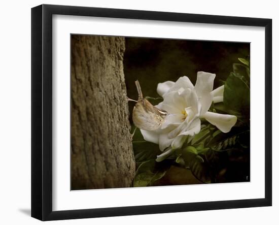 The Scent of the Gardenia-Jai Johnson-Framed Giclee Print