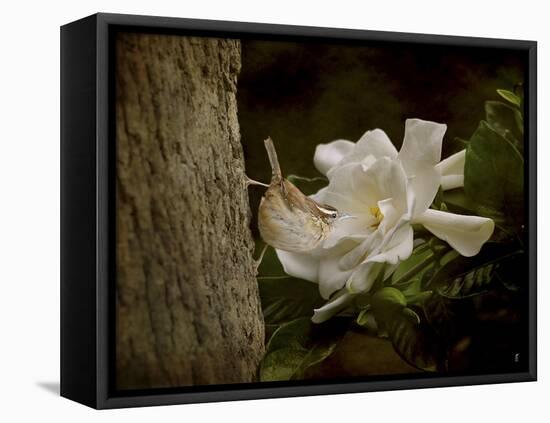 The Scent of the Gardenia-Jai Johnson-Framed Premier Image Canvas