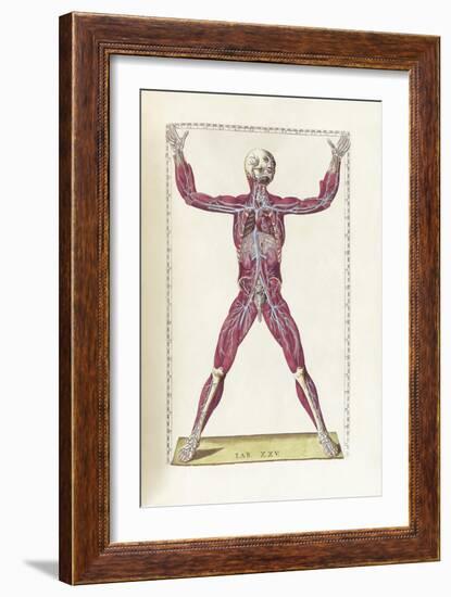 The Science of Human Anatomy by Bartholomeo Eustachi-Stocktrek Images-Framed Art Print