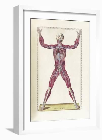 The Science of Human Anatomy by Bartholomeo Eustachi-Stocktrek Images-Framed Art Print