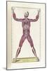 The Science of Human Anatomy by Bartholomeo Eustachi-Stocktrek Images-Mounted Art Print