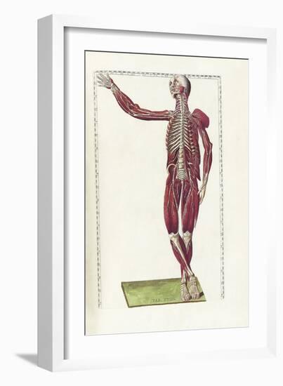 The Science of Human Anatomy by Bartholomeo Eustachi-Stocktrek Images-Framed Art Print