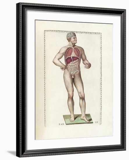 The Science of Human Anatomy by Bartholomeo Eustachi-Stocktrek Images-Framed Art Print