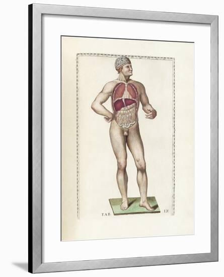 The Science of Human Anatomy by Bartholomeo Eustachi-Stocktrek Images-Framed Art Print