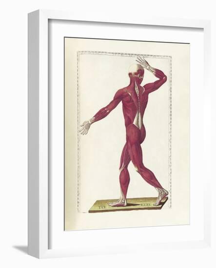 The Science of Human Anatomy by Bartholomeo Eustachi-Stocktrek Images-Framed Art Print