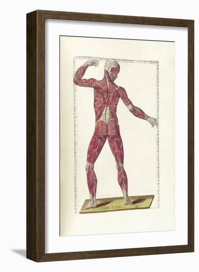 The Science of Human Anatomy by Bartholomeo Eustachi-Stocktrek Images-Framed Art Print