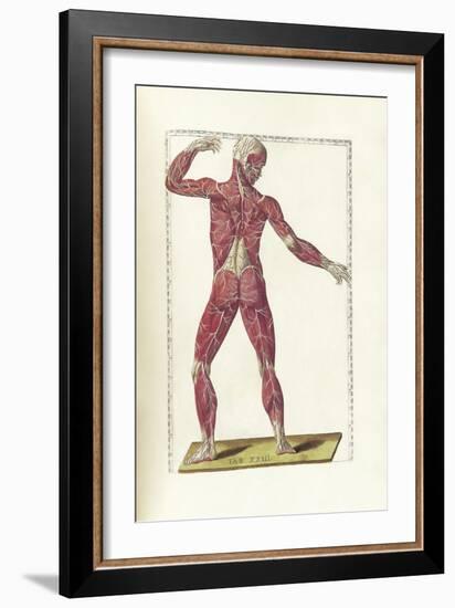 The Science of Human Anatomy by Bartholomeo Eustachi-Stocktrek Images-Framed Art Print