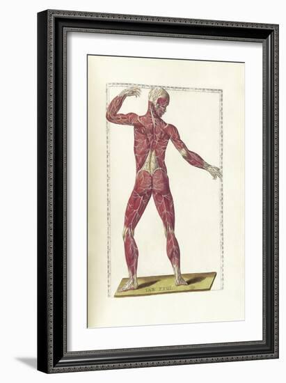 The Science of Human Anatomy by Bartholomeo Eustachi-Stocktrek Images-Framed Art Print