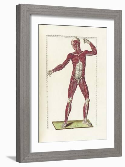 The Science of Human Anatomy by Bartholomeo Eustachi-Stocktrek Images-Framed Art Print