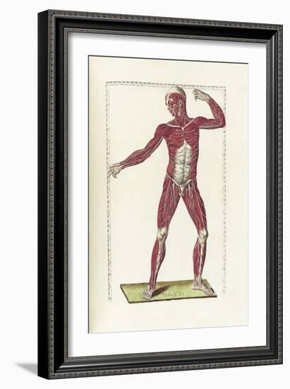 The Science of Human Anatomy by Bartholomeo Eustachi-Stocktrek Images-Framed Art Print