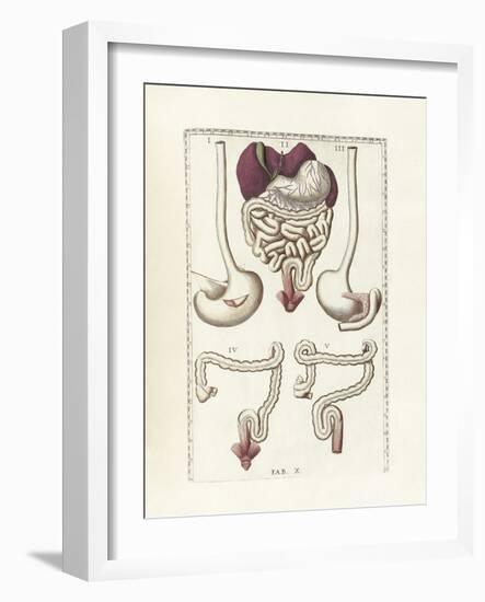 The Science of Human Anatomy by Bartholomeo Eustachi-Stocktrek Images-Framed Art Print