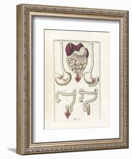 The Science of Human Anatomy by Bartholomeo Eustachi-Stocktrek Images-Framed Art Print