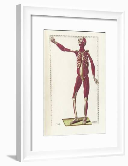 The Science of Human Anatomy by Bartholomeo Eustachi-Stocktrek Images-Framed Art Print