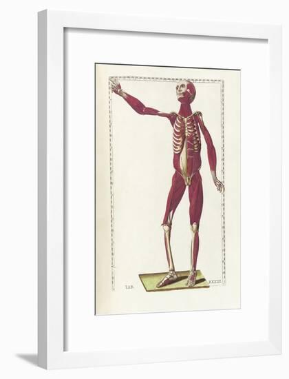 The Science of Human Anatomy by Bartholomeo Eustachi-Stocktrek Images-Framed Art Print