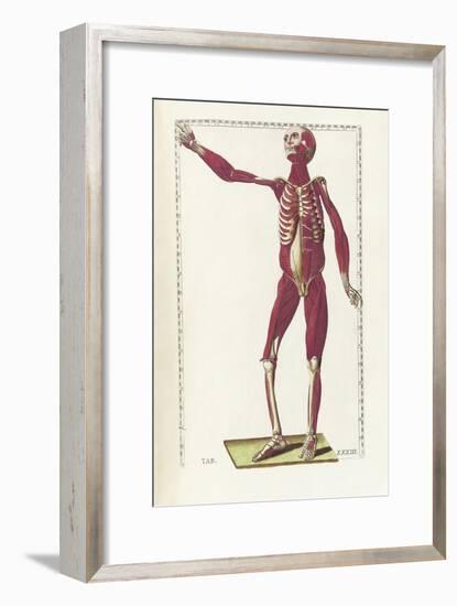 The Science of Human Anatomy by Bartholomeo Eustachi-Stocktrek Images-Framed Art Print