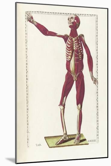 The Science of Human Anatomy by Bartholomeo Eustachi-Stocktrek Images-Mounted Art Print