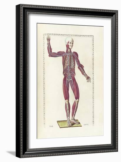 The Science of Human Anatomy by Bartholomeo Eustachi-Stocktrek Images-Framed Art Print