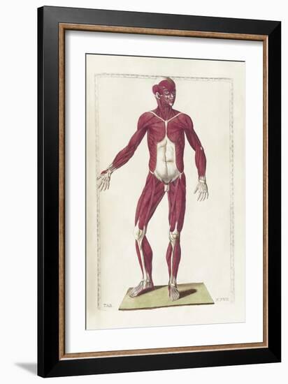 The Science of Human Anatomy by Bartholomeo Eustachi-Stocktrek Images-Framed Art Print