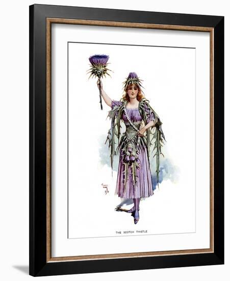 The Scotch Thistle, 1899-C Wilhelm-Framed Giclee Print