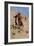 The Scout-Frederic Sackrider Remington-Framed Giclee Print