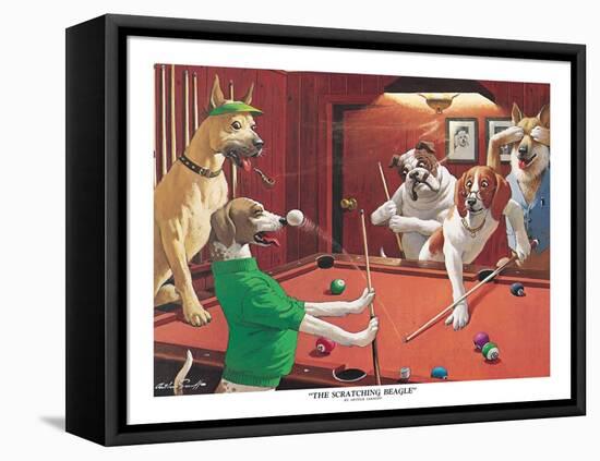 The Scratching Beagle-Arthur Sarnoff-Framed Stretched Canvas