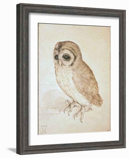 The Screech Owl-Albrecht Dürer-Framed Giclee Print