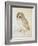 The Screech Owl-Albrecht Dürer-Framed Giclee Print