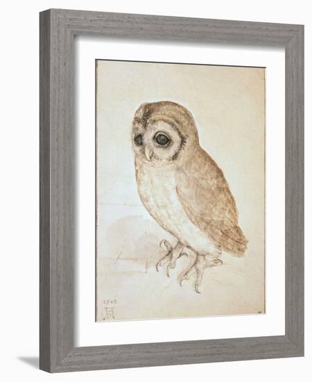 The Screech Owl-Albrecht Dürer-Framed Giclee Print