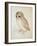 The Screech Owl-Albrecht Dürer-Framed Giclee Print