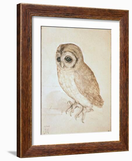 The Screech Owl-Albrecht Dürer-Framed Giclee Print