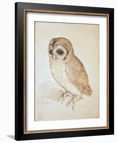 The Screech Owl-Albrecht Dürer-Framed Giclee Print