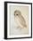 The Screech Owl-Albrecht Dürer-Framed Giclee Print