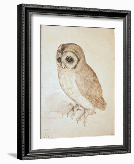 The Screech Owl-Albrecht Dürer-Framed Giclee Print