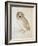 The Screech Owl-Albrecht Dürer-Framed Giclee Print