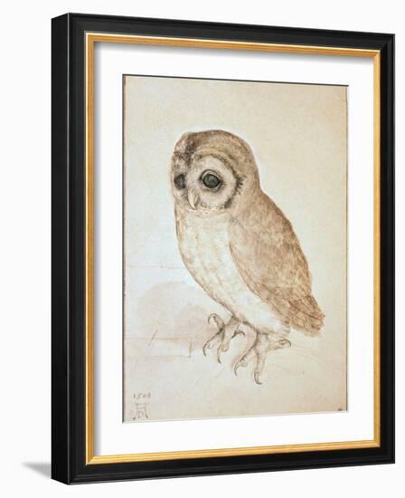 The Screech Owl-Albrecht Dürer-Framed Giclee Print