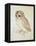 The Screech Owl-Albrecht Dürer-Framed Premier Image Canvas